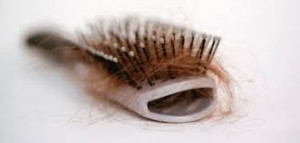 hair brush