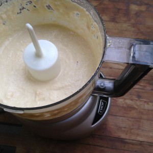 nutchs sour crm in processor