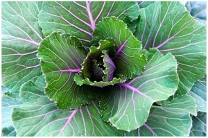 KaleHead